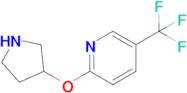 2-(Pyrrolidin-3-yloxy)-5-(trifluoromethyl)pyridine