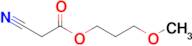 3-Methoxypropyl 2-cyanoacetate