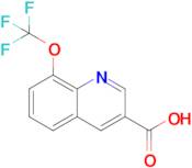 8-(Trifluoromethoxy)quinoline-3-carboxylic acid