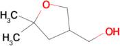 (5,5-Dimethyltetrahydrofuran-3-yl)methanol