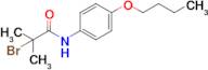 2-Bromo-N-(4-butoxyphenyl)-2-methylpropanamide