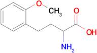 2-Amino-4-(2-methoxyphenyl)butanoic acid