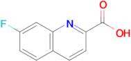 7-Fluoroquinoline-2-carboxylic acid