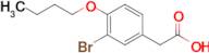 2-(3-Bromo-4-butoxyphenyl)acetic acid