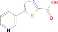 5-(Pyridin-3-yl)thiophene-2-carboxylic acid