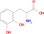 2-Amino-3-(2,3-dihydroxyphenyl)propanoic acid