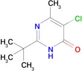 2-tert-butyl-5-chloro-6-methyl-3,4-dihydropyrimidin-4-one