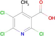 2,5,6-Trichloro-4-methylnicotinic acid