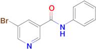 5-Bromo-N-phenylnicotinamide