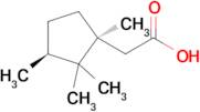 2-((1S,3S)-1,2,2,3-tetramethylcyclopentyl)acetic acid