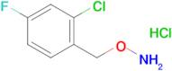 O-(2-chloro-4-fluorobenzyl)hydroxylamine hydrochloride