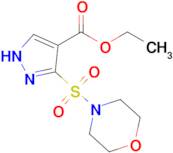 Ethyl 3-(morpholinosulfonyl)-1H-pyrazole-4-carboxylate