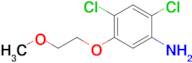 2,4-Dichloro-5-(2-methoxyethoxy)aniline