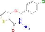 3-((4-Chlorobenzyl)oxy)thiophene-2-carbohydrazide