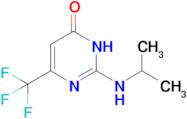 2-[(propan-2-yl)amino]-6-(trifluoromethyl)-3,4-dihydropyrimidin-4-one