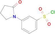 3-(2-Oxopyrrolidin-1-yl)benzenesulfonyl chloride