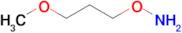 O-(3-methoxypropyl)hydroxylamine