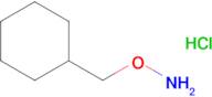 O-(cyclohexylmethyl)hydroxylamine hydrochloride