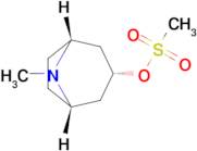 (1R,3r,5S)-8-methyl-8-azabicyclo[3.2.1]Octan-3-yl methanesulfonate