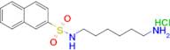 N-(6-aminohexyl)naphthalene-2-sulfonamide hydrochloride