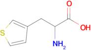 2-Amino-3-(thiophen-3-yl)propanoic acid