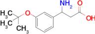 3-Amino-3-(3-(tert-butoxy)phenyl)propanoic acid