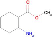 Methyl 2-aminocyclohexane-1-carboxylate