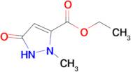 ethyl 2-methyl-5-oxo-2,5-dihydro-1H-pyrazole-3-carboxylate