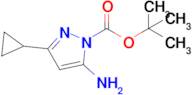 Tert-butyl 5-amino-3-cyclopropyl-1H-pyrazole-1-carboxylate