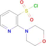 2-Morpholinopyridine-3-sulfonyl chloride