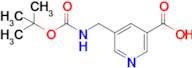 5-(((Tert-butoxycarbonyl)amino)methyl)nicotinic acid