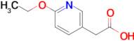 2-(6-Ethoxypyridin-3-yl)acetic acid