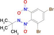 tert-butyl[(2,4-dibromo-6-nitrophenyl)-oxo-λ⁵-azanylidene]amine