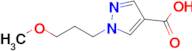 1-(3-Methoxypropyl)-1H-pyrazole-4-carboxylic acid