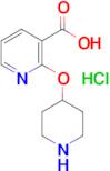 2-(Piperidin-4-yloxy)nicotinic acid hydrochloride