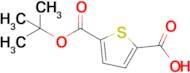 5-(Tert-butoxycarbonyl)thiophene-2-carboxylic acid