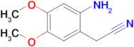 2-(2-Amino-4,5-dimethoxyphenyl)acetonitrile