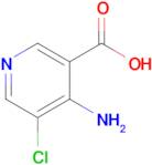 4-amino-5-chloronicotinic acid