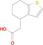 2-(4,5,6,7-Tetrahydrobenzo[b]thiophen-4-yl)acetic acid