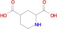 Piperidine-2,4-dicarboxylic acid