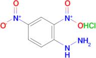 (2,4-Dinitrophenyl)hydrazine hydrochloride