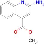 methyl 2-aminoquinoline-4-carboxylate