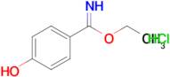 Ethyl 4-hydroxybenzimidate hydrochloride