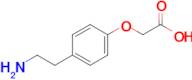 2-(4-(2-Aminoethyl)phenoxy)acetic acid