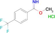 Methyl 4-(trifluoromethyl)benzimidate hydrochloride