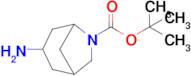 Tert-butyl 3-amino-6-azabicyclo[3.2.1]Octane-6-carboxylate