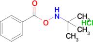 O-benzoyl-N-(tert-butyl)hydroxylamine hydrochloride