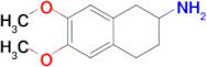 6,7-Dimethoxy-1,2,3,4-tetrahydronaphthalen-2-amine