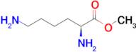 Methyl L-lysinate