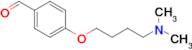 4-(4-(Dimethylamino)butoxy)benzaldehyde